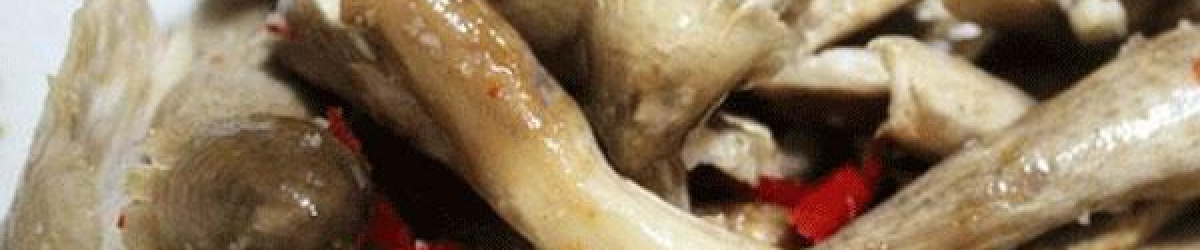 NẤM MỐI TỰ NHIÊN