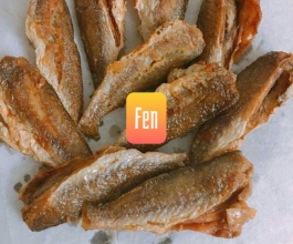 CÁ ĐÙ 1 NẮNG