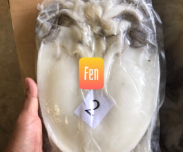 MỰC LÁ 1 NẮNG LOẠI NGON
