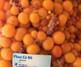 TRỨNG GÀ NON