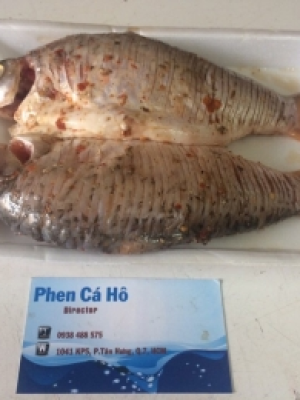 CÁ HE 1 NẮNG