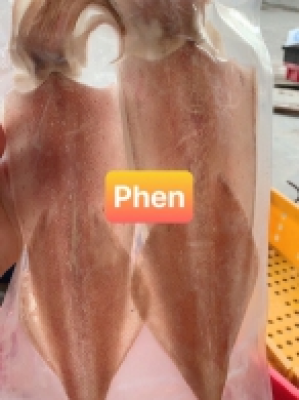 MỰC 1 NẮNG