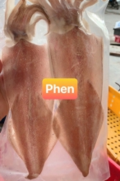 MỰC 1 NẮNG