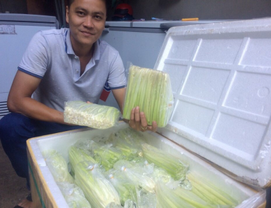 ĐỌT NĂNG