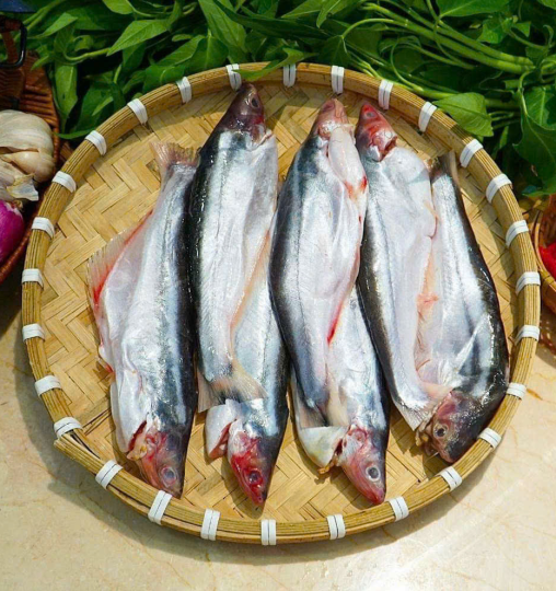 Phen cá hô