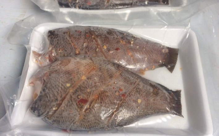 CÁ SẶC 