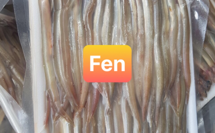 CÁ SỦN SỈN