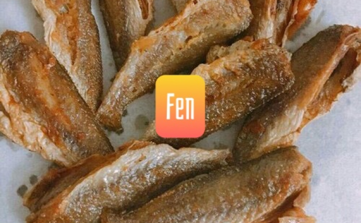CÁ ĐÙ 1 NẮNG