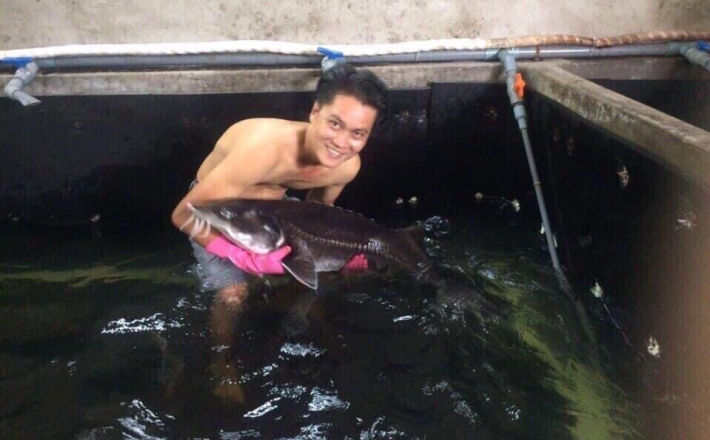 CÁ TẦM