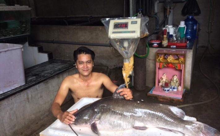 CÁ LĂNG