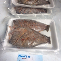 CÁ SẶC 