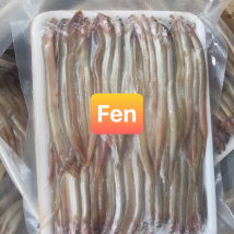 CÁ SỦN SỈN