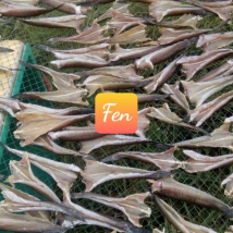 KHÔ CÁ LÓC CỬNG ĐỒNG