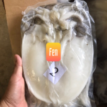 MỰC 1 NẮNG