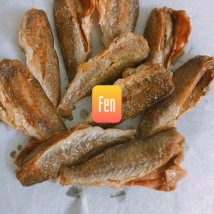 CÁ ĐÙ 1 NẮNG