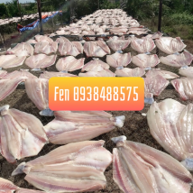 CÁ DỨA  