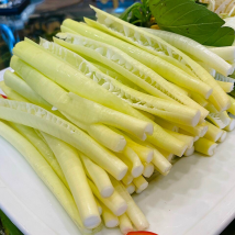 ĐỌT NĂNG