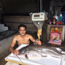 CÁ LĂNG